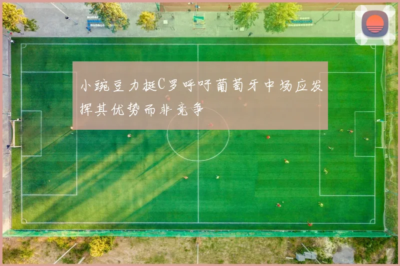 小豌豆力挺C罗呼吁葡萄牙中场应发挥其优势而非竞争